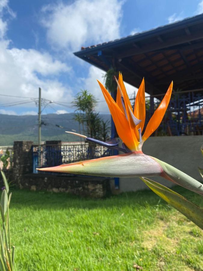 Byjular * Tiradentes